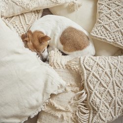 Speedtsberg pude m/fyld 35x55cm beige