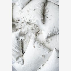 Pudefyld 50x70 cm andefjer+dun