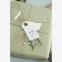 Ib Laursen til/fra kort pk. m/8 ass. blomster kort B: 3,3 H: 6 cm.