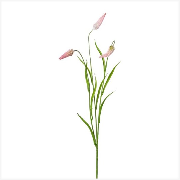 Rvehale grs m/Rosa H: 71 cm.