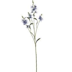 Pr�rielilje Bl� H:101cm.