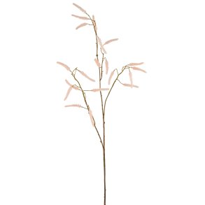 Acalypha Fersken Farvet H: 72 cm.