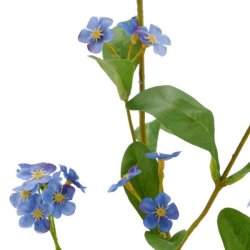 Forglemmigej Lysebl� H:49cm.