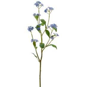 Forglemmigej Lysebl� H:49cm.