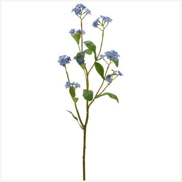 Forglemmigej Lysebl� H:49cm.
