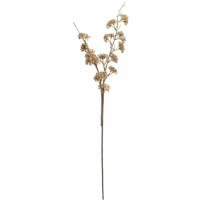 Speedtsberg - Gren Naturfarve 90 cm.