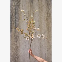 Speedtsberg - Gren Naturfarve 90 cm.