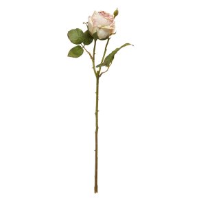Speedtsberg - Rose stilk Lyserd, L: 44 cm.