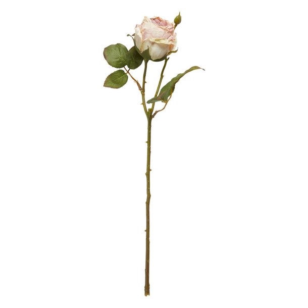 Speedtsberg - Rose stilk Lyserd, L: 44 cm.