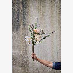 Speedtsberg - Rose stilk Beige, L: 44 cm. 