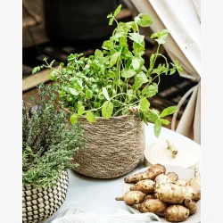 House Doctor - Kurv m/oph�ng S�gr�s H: 16 �: 18 cm.