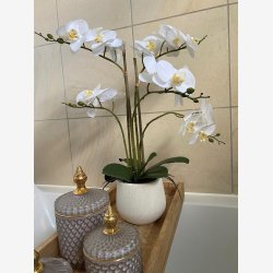 La Vida - Kunstig orkid, 5-grenet