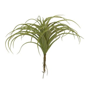 Speedtsberg - Sukkulent Grn, H: 29 cm.