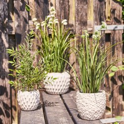 Speedtsberg - Grs m/Blomster i potte Grn og Hvid, H: 55 cm.