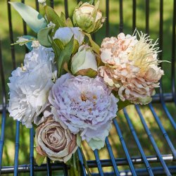 Speedtsberg - Eukalyptus stilk L70cm 