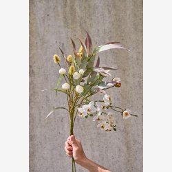 Speedtsberg - Eukalyptus stilk L70cm 