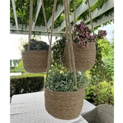 La Vida - Hnge sgrskurve