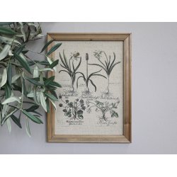 Chic Antique - Billede m/blomsterprint, natur ramme H 43 L 33 cm