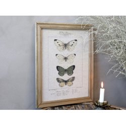Chic Antique billede med sommerfugle