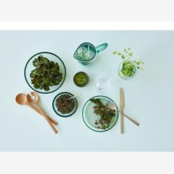 BITZ - Salatbestik 24cm Eg.