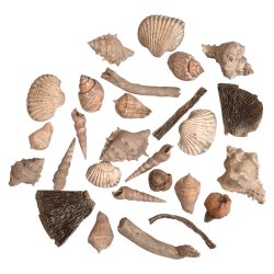 Speedtsberg - Skaller i pose ass str. 