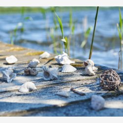 Speedtsberg - Skaller i pose ass str. 