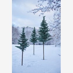 Speedtsberg - Grantr m. fod i metal, vlg mellem 3 strrelser 