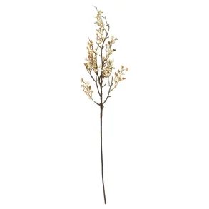 Speedtsberg - B�rgren - Hvid - 66 cm