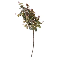 Speedtsberg - Eukalyptus stilk Gr�n 70 cm.