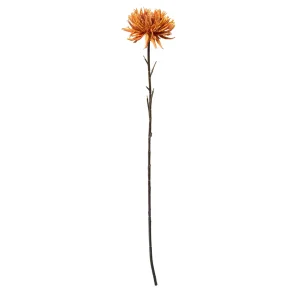 Speedtsberg - Krysantemum Stilk Orange 75 cm. 