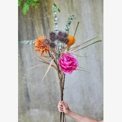 Speedtsberg - Krysantemum Stilk Orange 75 cm. 