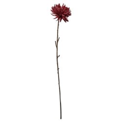 Speedtsberg - Krysantemum Stilk Dyb R�d 75 cm. 