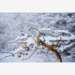 Speedtsberg - Fugl m. klips, glimmer og perler 19cm, Champagne/Guld