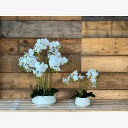 La Vida - Kunstig okid H:69cm