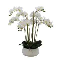 La Vida - Kunstig okid H:69cm