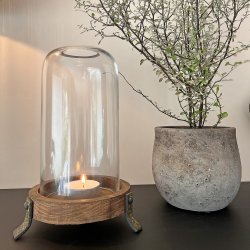 La Vida - Glaskuppel p tropsats, H28/D18 cm