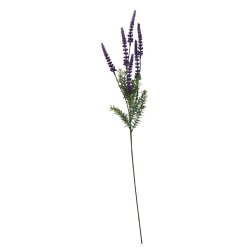Speedtsberg - Lavendel stik Lilla, L: 80 cm.