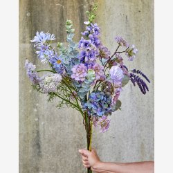 Speedtsberg - Aster tataricus stilk Lilla, L: 58 cm. 