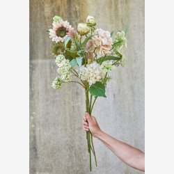 Speedtsberg - Virbunum Stilk L: 73 cm. 