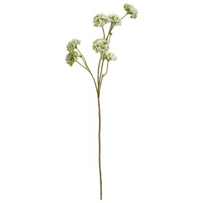 Speedtsberg - Virbunum Stilk L: 73 cm. 