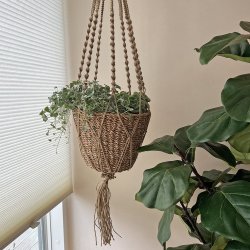 La Vida - Sgrskurv/ampel til ophng, natur