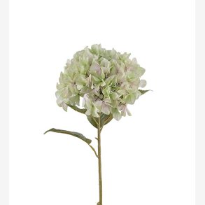PH-Import - Kunstig Hortensia, lime, 110 cm