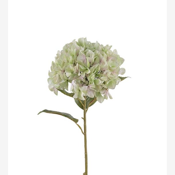 PH-Import - Kunstig Hortensia, lime, 110 cm