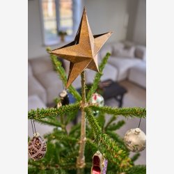 Speedtsberg - Juletrs topstjerne i metal 23x3cm, Guld