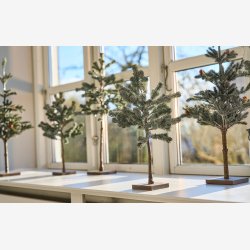 Speedtsberg - Grantr Opstrammet m/sne - Vlg Strrelse