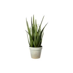 Speedtsberg - Kunstig Aloe Vera i potte H36cm, Gr�n