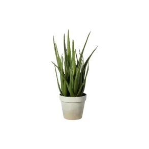 Speedtsberg - Kunstig Aloe Vera i potte H36cm, Gr�n