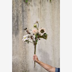 Speedtsberg - Solsikke stilk, lyserd - L: 61 cm.