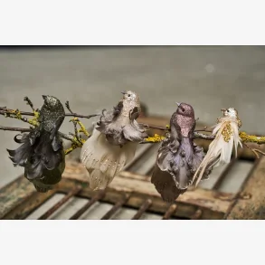 Speedtsberg - Fugl med klips rd/lilla/lyserd i polyskum m/fjer