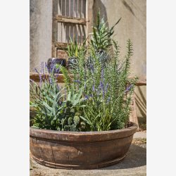 Speedtsberg - Dekorations fad i tr UNIKA L: 20 : 60 cm, Natur